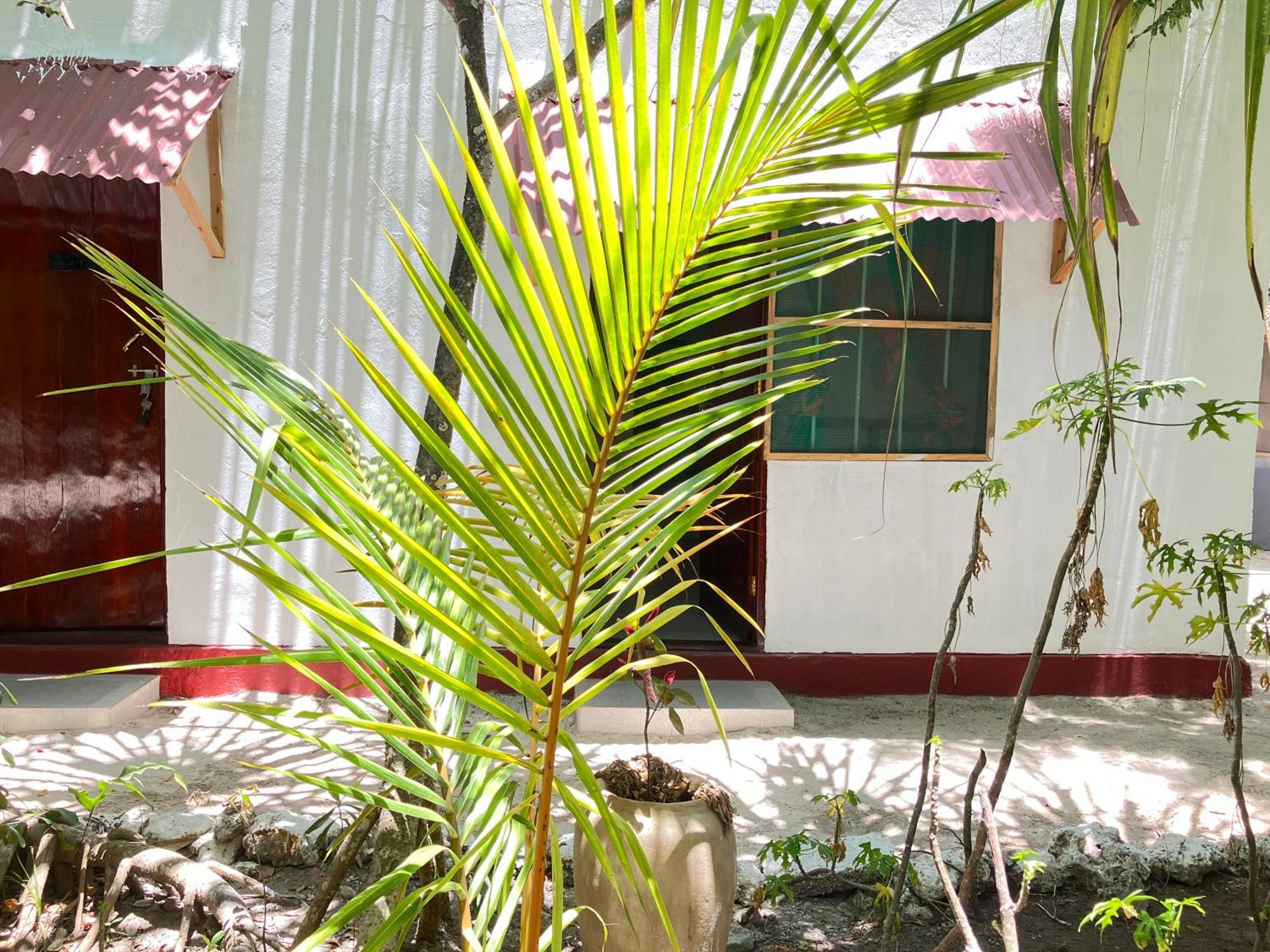 Mount Zion Lodge Michamvi Oda fotoğraf